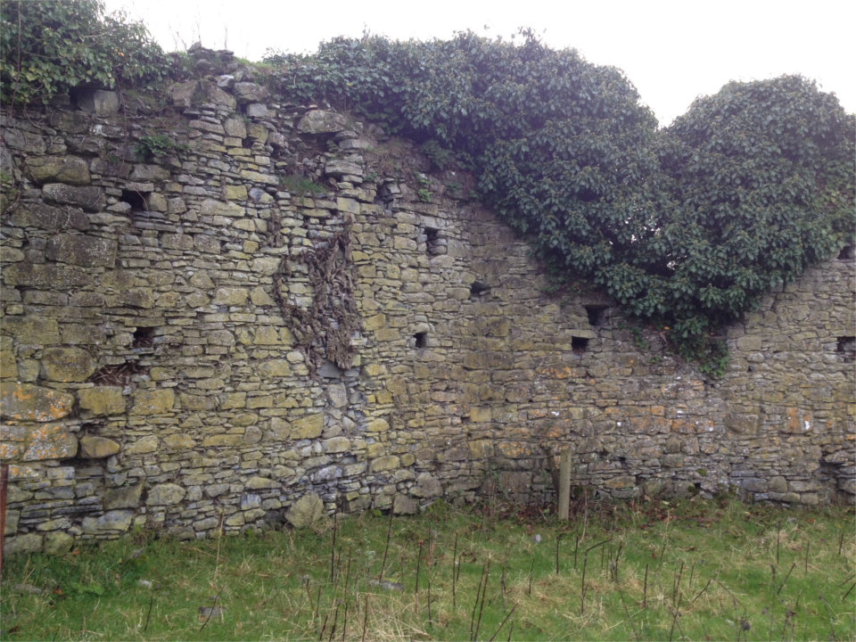The surviving motte wall.