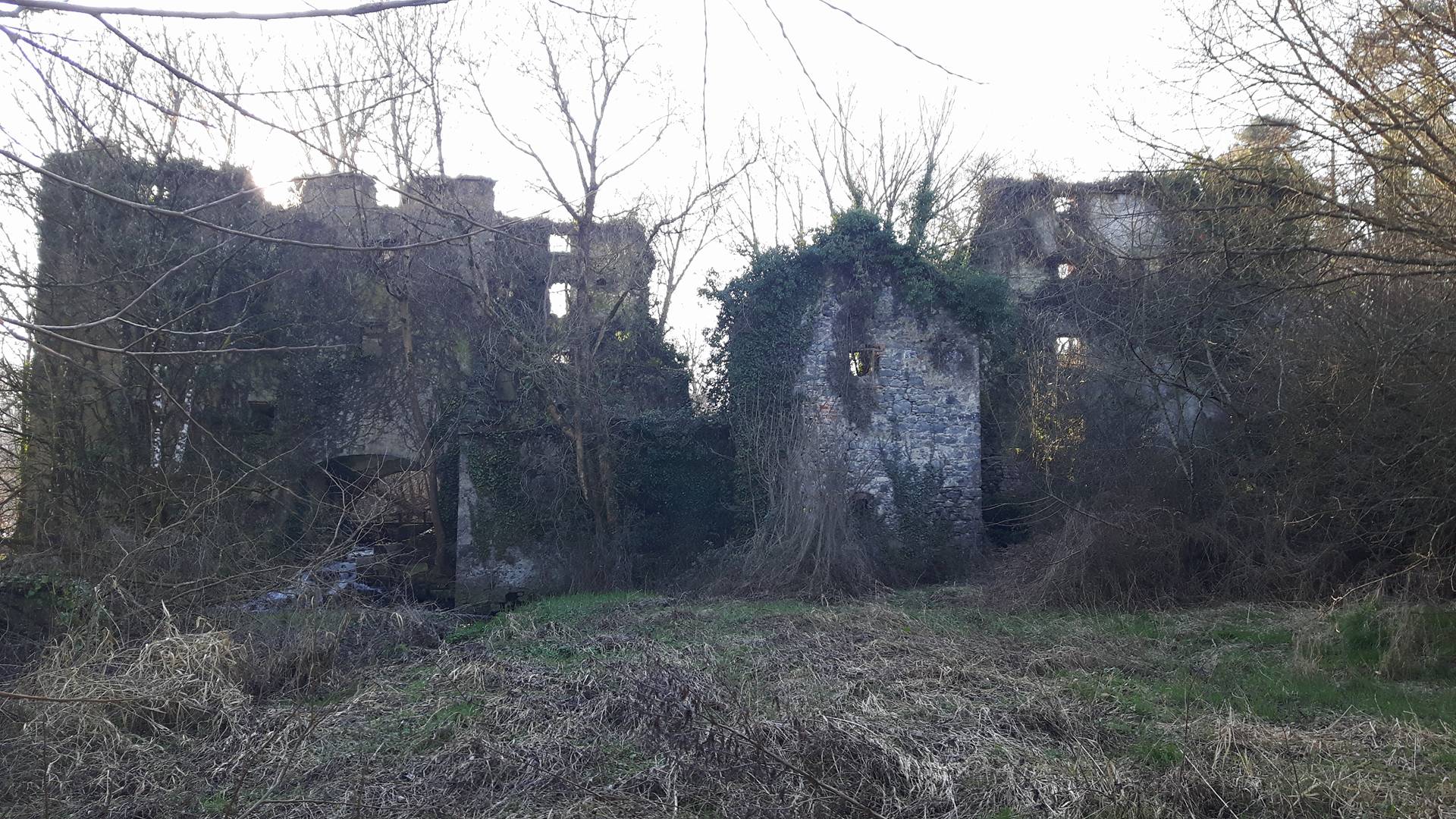 Image of Hutchinsons Mill in Kells.