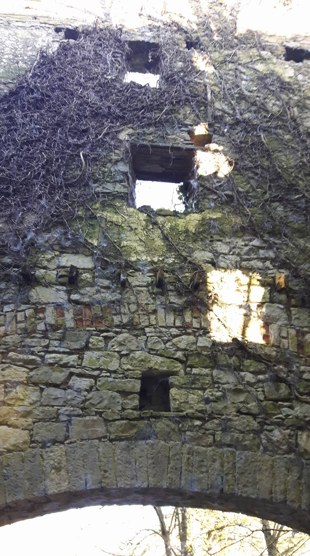 Interior wall over arch of Bradleys Mill, Kells, Kilkenny.